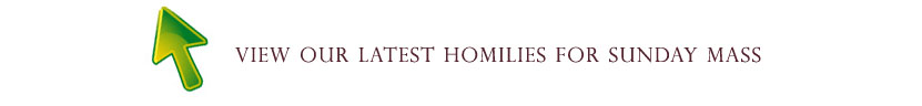 Catholic homilies for Sunday Mass
